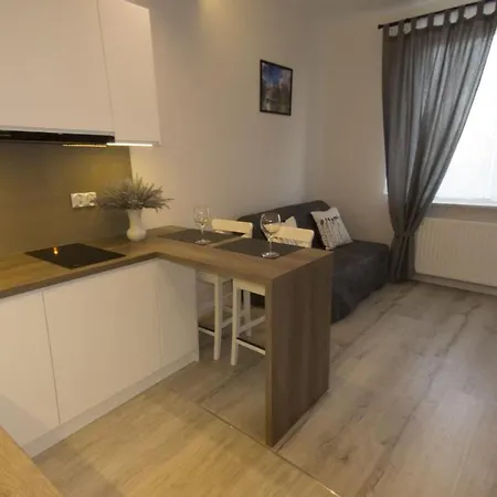 Apartament Termalny Komfort 8.1 Uniejów Exterior foto